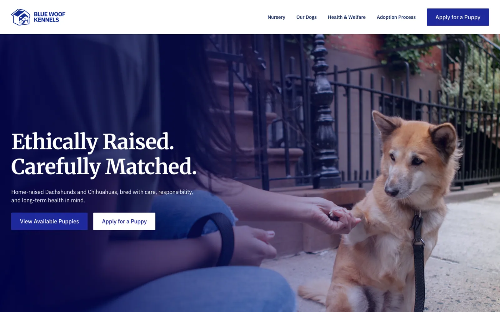 Blue Woof Kennels homepage, showing the adoption enquiry prompt over a photograph of a dog being greeted